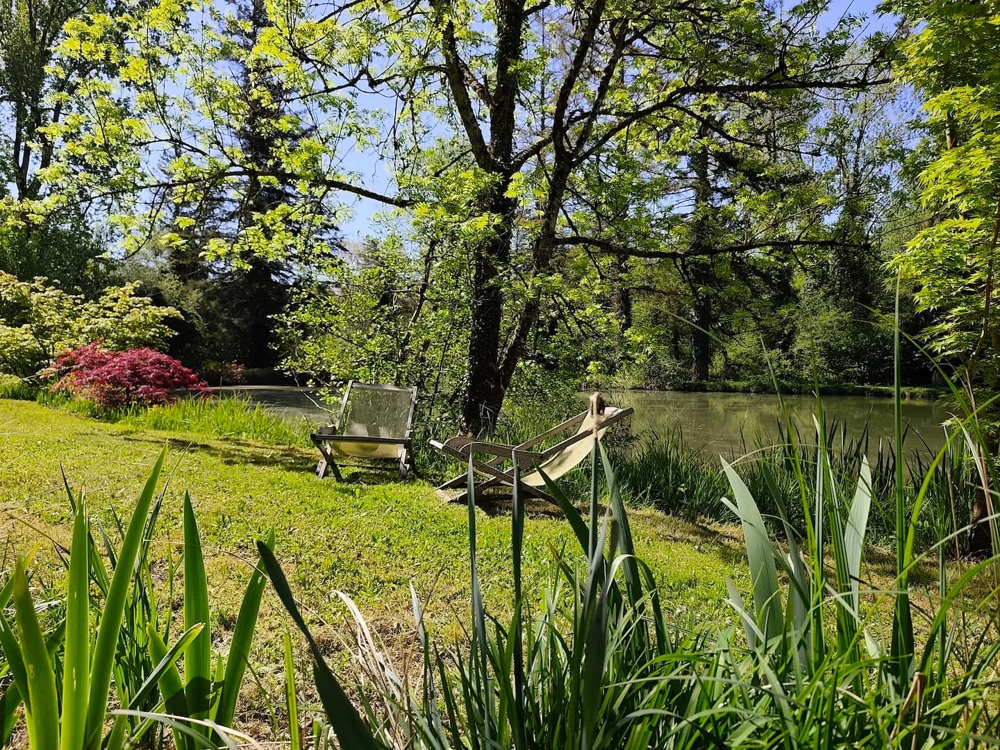 Loungers by the pond at Le 10
