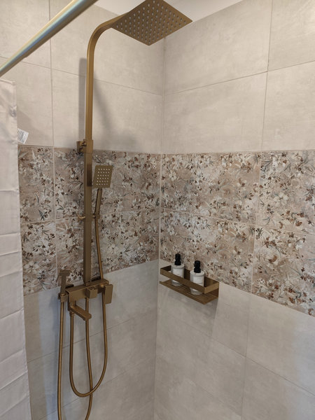 Walk-in shower in the shared bathroom